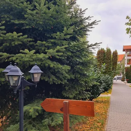 Pirin Deluxe Apartment *